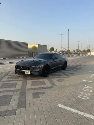 2019 فورد موستانج GT