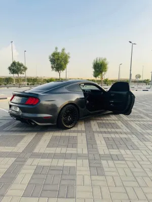 2019 فورد موستانج GT