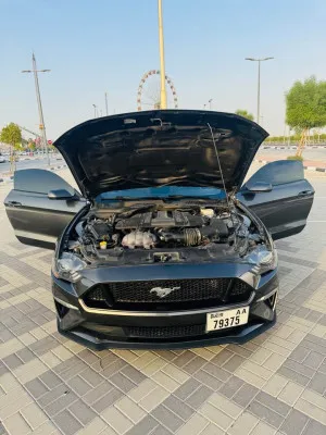 2019 فورد موستانج GT