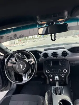 2019 فورد موستانج GT