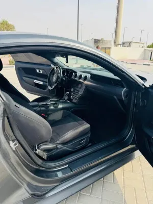 2019 فورد موستانج GT