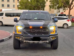 2019 فورد رابتر
