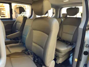 2009 Hyundai H1 Executive