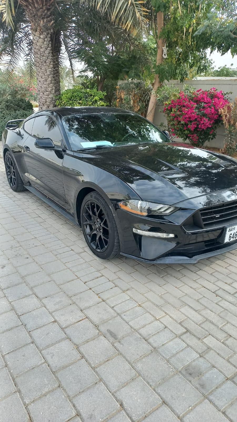 2019 فورد موستانج SVT Cobra