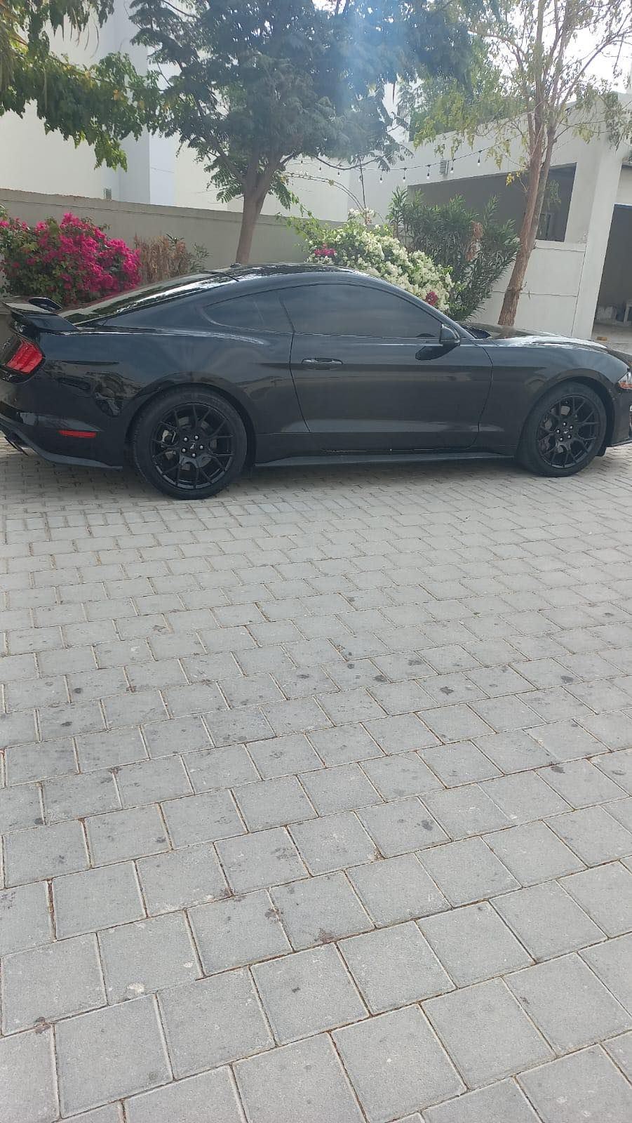 2019 فورد موستانج SVT Cobra