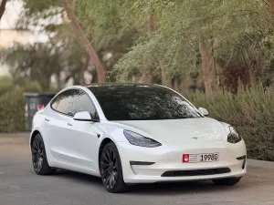 2021 Tesla MODEL 3 Performance