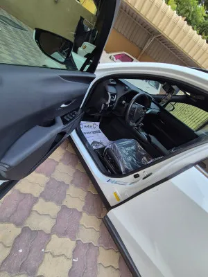 2024 لكزس UX - يو اكس UX 250h F Sport