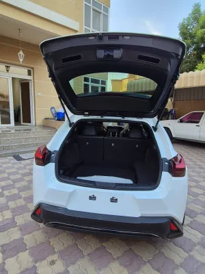 2024 لكزس UX - يو اكس UX 250h F Sport