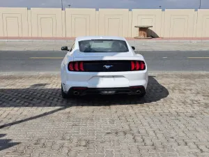 2020 فورد موستانج EcoBoost