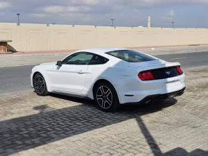 2020 فورد موستانج EcoBoost