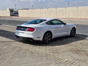2020 فورد موستانج EcoBoost