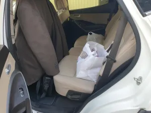 2018 Hyundai Santa Fe SEL