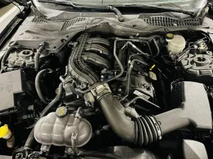 2015 فورد موستانج EcoBoost Convertible