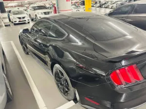 2015 فورد موستانج EcoBoost Convertible