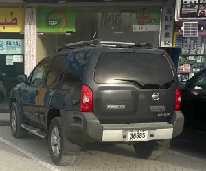 2010 Nissan XTerra Pro-4X