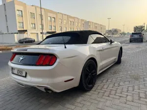2017 فورد موستانج Shelby GT350