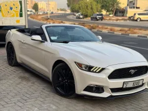 2017 فورد موستانج Shelby GT350