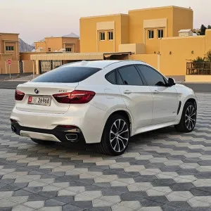 2019 BMW X6 35i