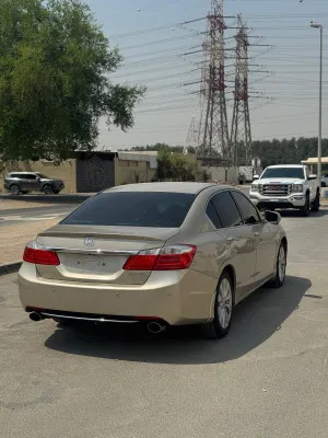 2013 هوندا أكورد DX