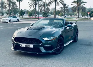 2017 فورد موستانج Shelby GT350
