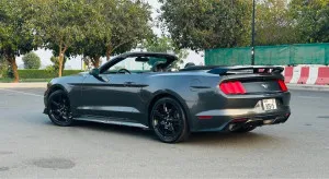 2017 فورد موستانج Shelby GT350
