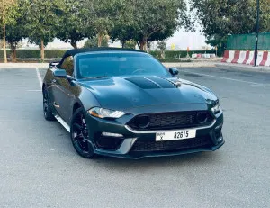 2017 فورد موستانج Shelby GT350