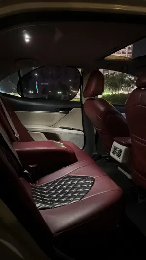 2019 Toyota Camry GLE