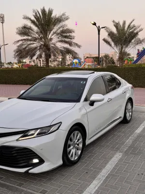2019 Toyota Camry GLE