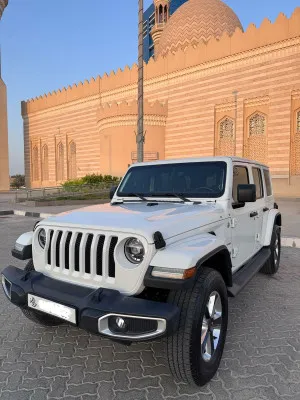 2020 جييب رانجلر انليميتد Rubicon 392