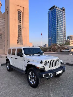 2020 جييب رانجلر انليميتد Rubicon 392
