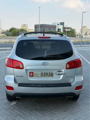 2007 Hyundai Santa Fe Calligraphy