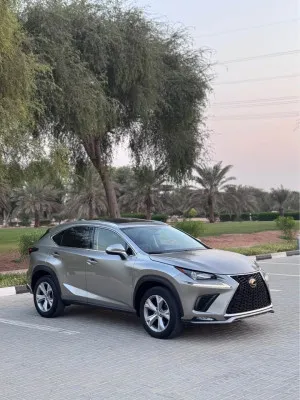 2017 لكزس NX - ان اكس NX200