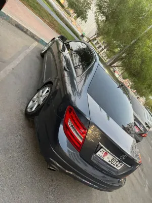 2014 مرسيدس-بنز آلفئة - C C250