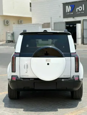 2025 روكس ٠١