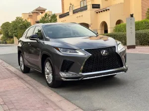 2019 لكزس ار اكس 350