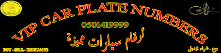 1419999.com logo