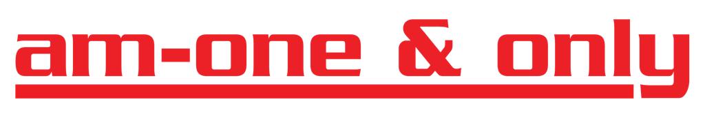 Am-one and only logo
