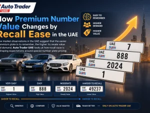 Premium UAE car number plate with simple, easy-to-remember digits