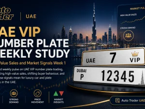 Row of high-end cars in Dubai with VIP number plates parked in a premium district