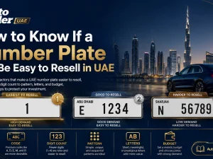 Assorted UAE car number plates showing different emirate codes and digit patterns