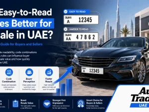 UAE car with a clean, easy-to-read Dubai number plate parked in an urban setting