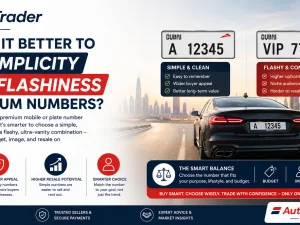 Premium UAE car plate with simple number design on luxury vehicle
