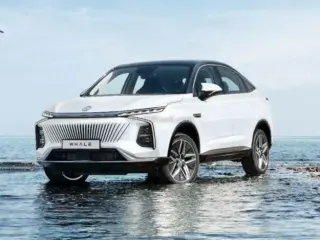 2024 MG WHALE in Dubai used car