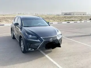 2020 Lexus NX in Abu Dhabi used car