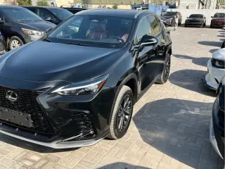 2024 Lexus NX in Dubai used car