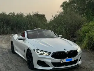 2019 BMW 8-Series in Dubai used car