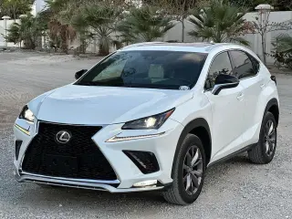 2020 Lexus NX in Abu Dhabi used car