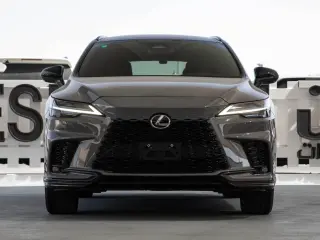 2025 Lexus RX in Dubai used car