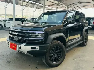 2025 BYD Leopard in Abu Dhabi used car