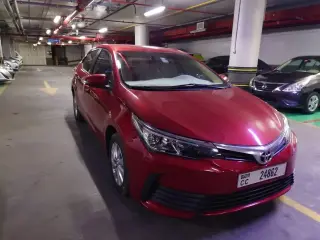 2019 Toyota Corolla in Dubai used car